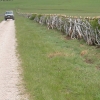 Hedgelaying Gallery
