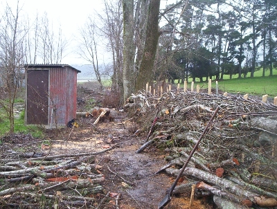Hedgelaying in Tasmania