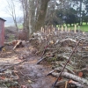 Hedgelaying Gallery