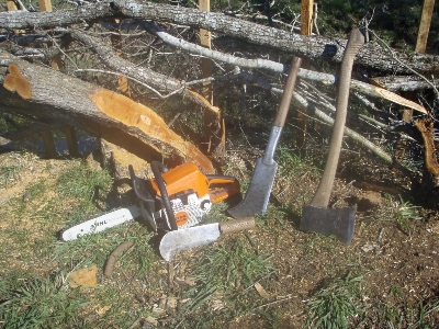Hedgelaying in Tasmania