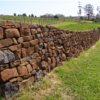 Dry stone walling nr Mole Creek
